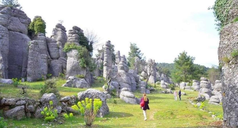Adams Rocks